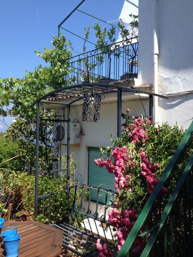 Villa Isabella Massalubrense Massa Lubrense Exterior foto